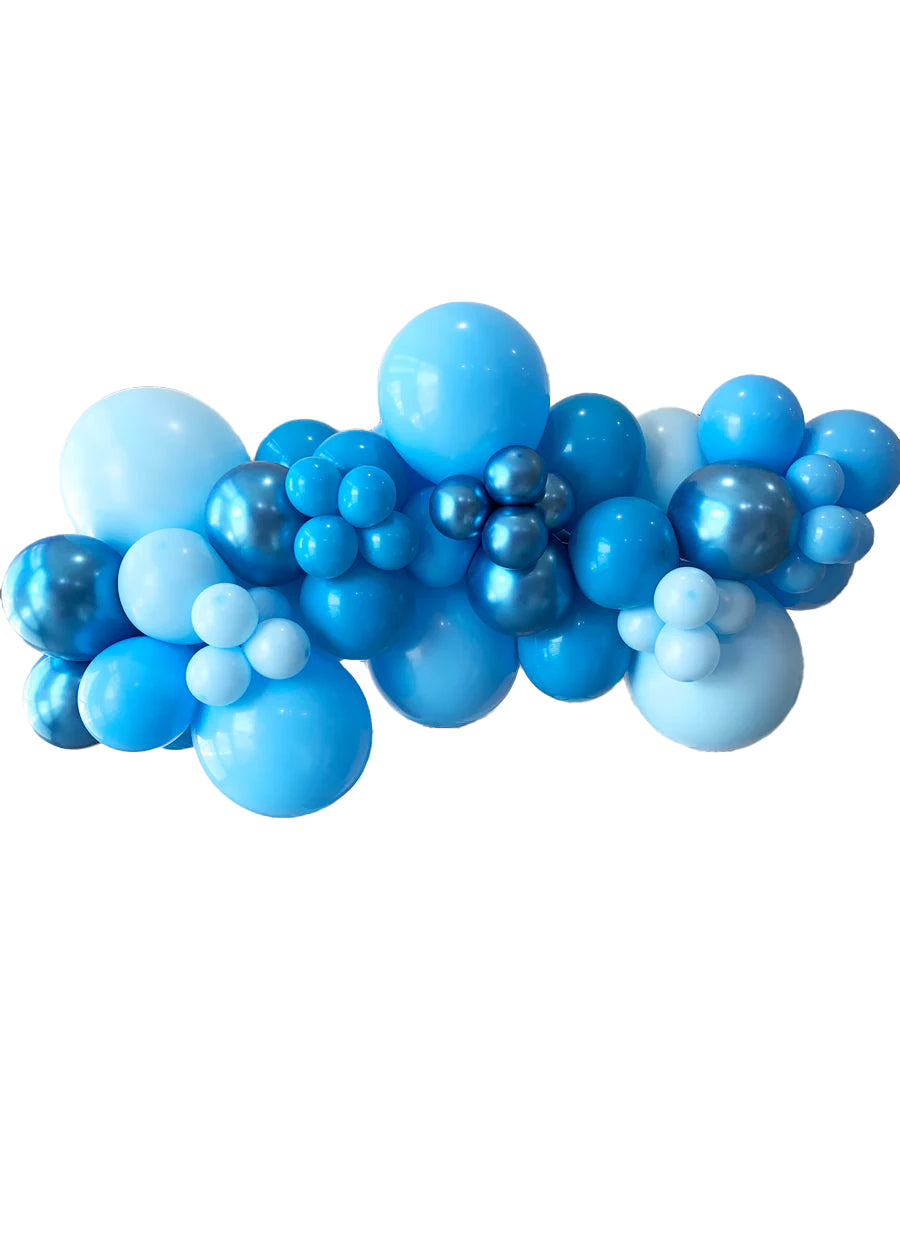 Blueberry - Balloon Garland