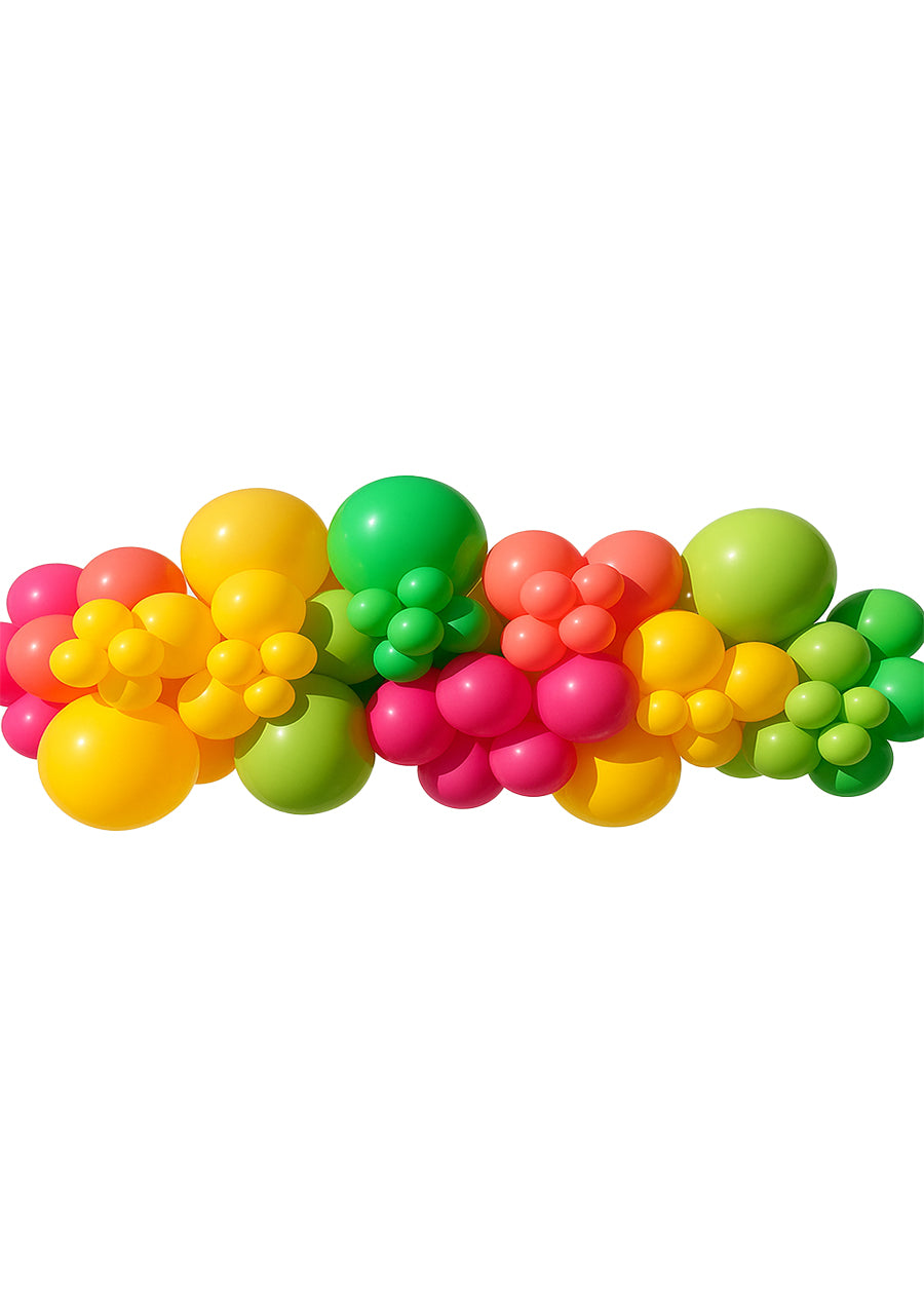 Tutti Frutti  - Balloon Garland